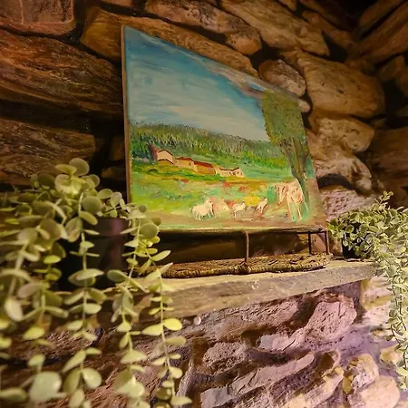 Casa De Cima - - Pinhao Hotel