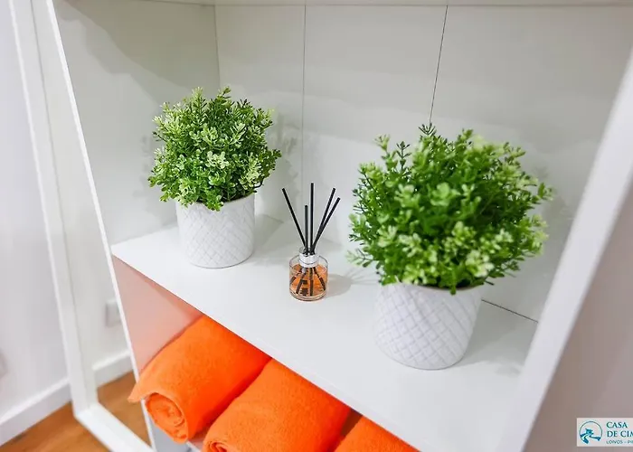 Casa De Cima - - Pinhao